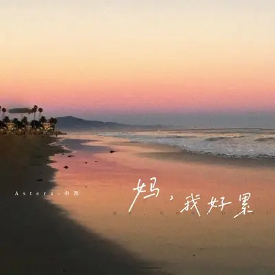 妈，我好累（我的人生连毛坯都不是）封面