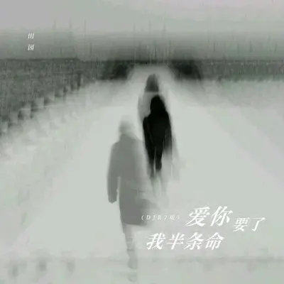 爱你要了我半条命(DJR7版)(DJR7版)封面