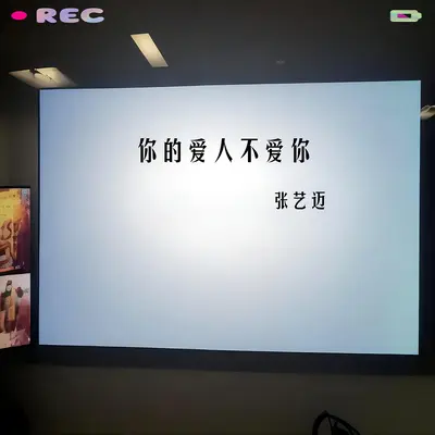 你的爱人不爱你(DJ阿诺版)(DJ阿诺版)封面
