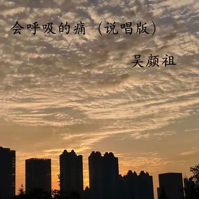 会呼吸的痛 (说唱版)封面