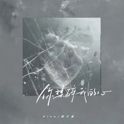 你揉碎我的心封面