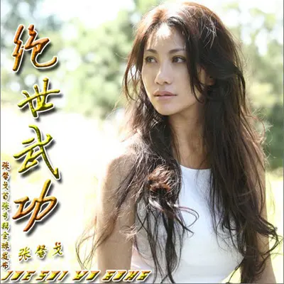 绝世武功（完整版）封面