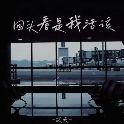 回头看是我活该封面