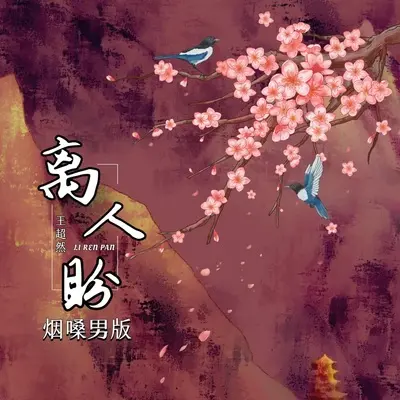 离人盼（DJ阿能版）封面