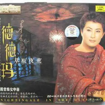 马背上的骑手封面