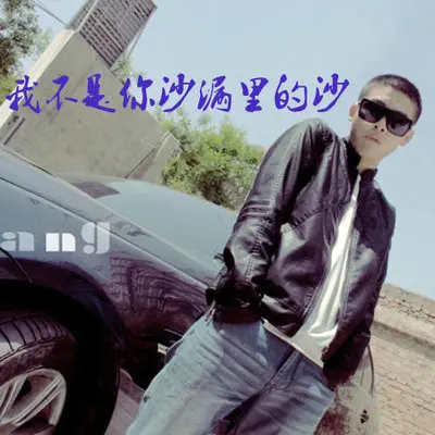 绝世优雅（完整版）封面