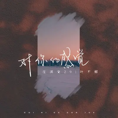 对你的感觉 (伴奏)封面