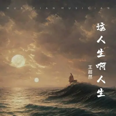 这人生啊人生封面