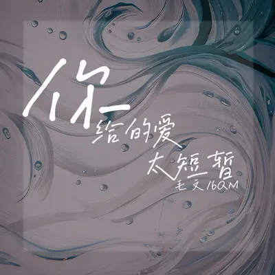 你给的爱太短暂封面