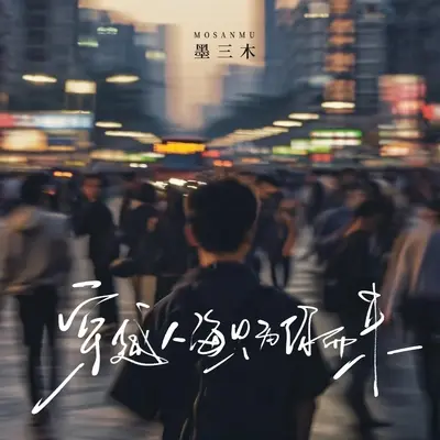 穿越人海只为你而来封面
