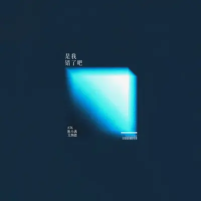 是我错了吧封面
