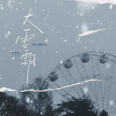 大雪飘 (伴奏)封面