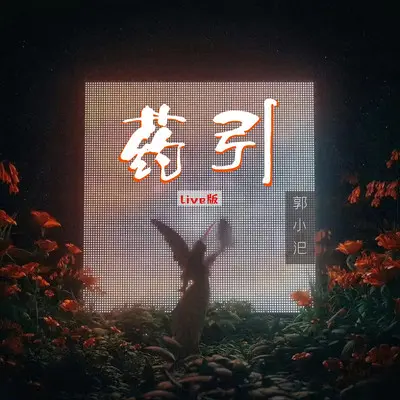 药引（Live版）封面