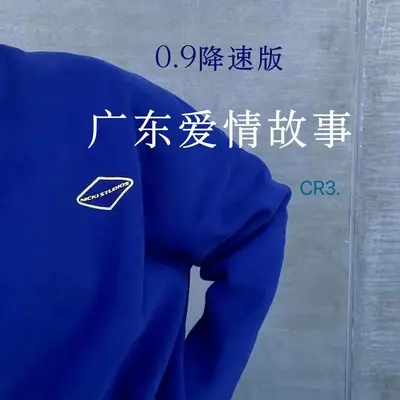 广东爱情故事 (0.9降速版)封面