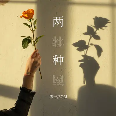 两种封面
