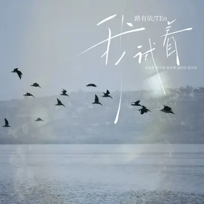 我试着封面