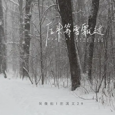 后来等雪飘过 (伴奏)封面