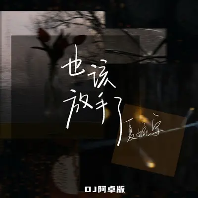 也该放手了 (DJ阿卓版伴奏) - 夏婉安封面