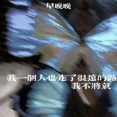 我一个人也走了很远的路 我不将就封面