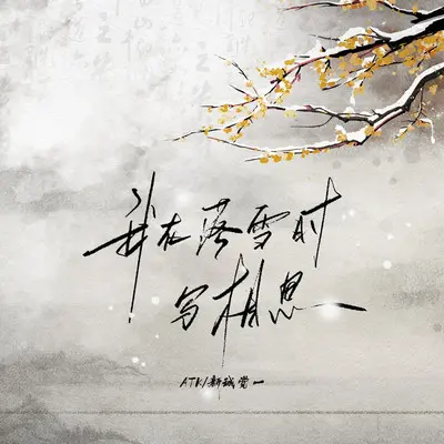 我在落雪时写相思 (DJ版伴奏)封面