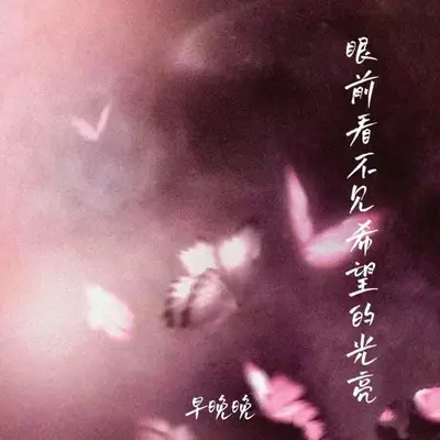 眼前看不见希望的光亮封面