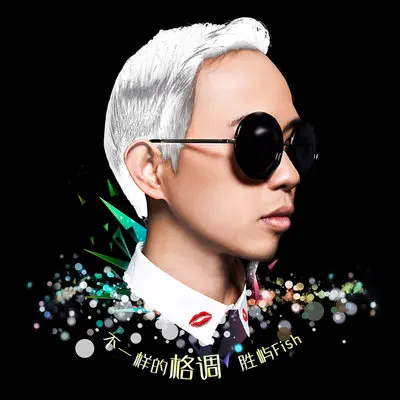 不一样的格调（完整版）封面