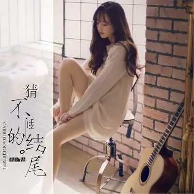 猜不到的结尾（完整版）封面