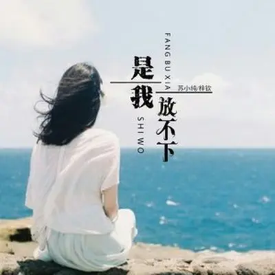 是我放不下（完整版）封面