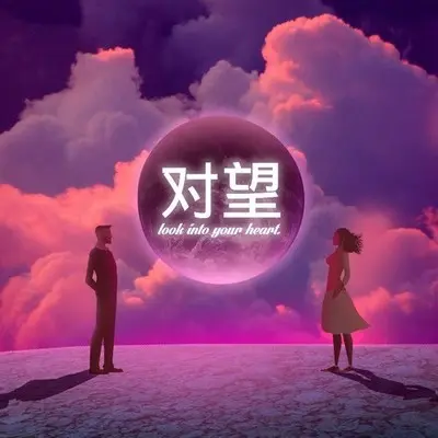 对望(DJ版伴奏) - 爱星人封面