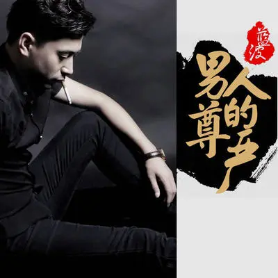 男人的尊严（完整版）封面