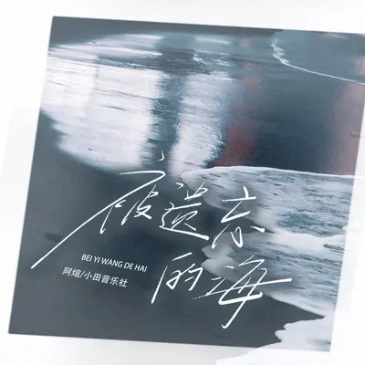 被遗忘的海封面