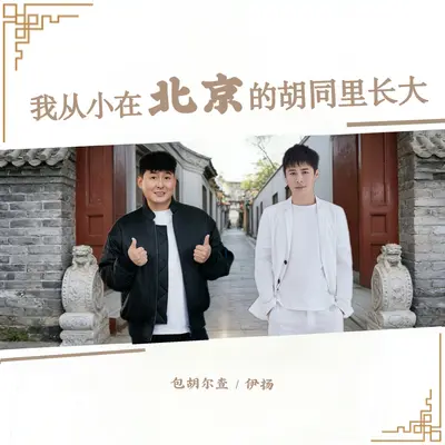 我从小在北京的胡同里长大封面