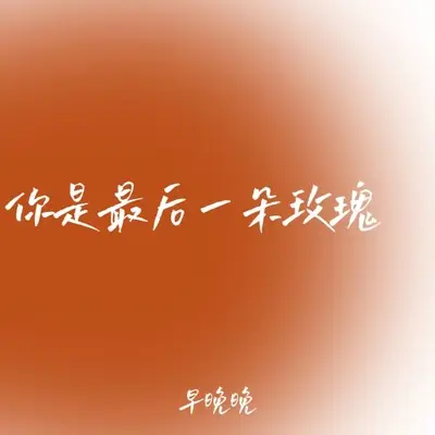 你是最后一朵玫瑰封面
