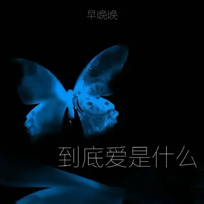 到底爱是什么封面
