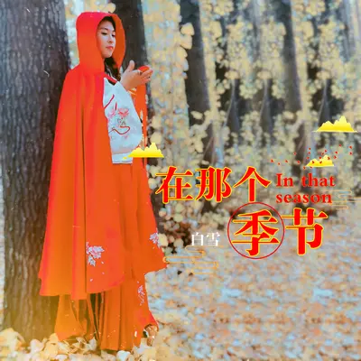 在那个季节封面