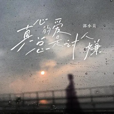 真心的爱总是讨人嫌 (伴奏)封面