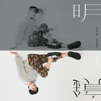 灰封面