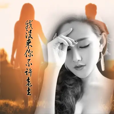 我没来你不许老去封面