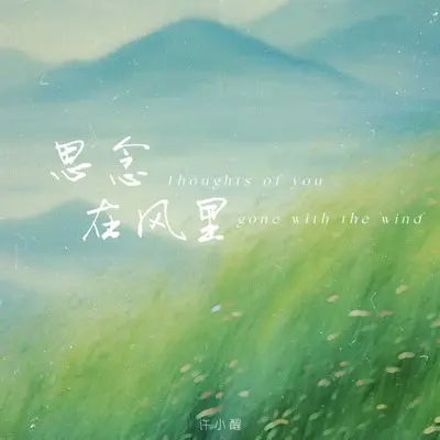 思念在风里封面