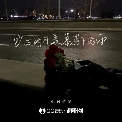 吹过的风羡慕落下的雨封面