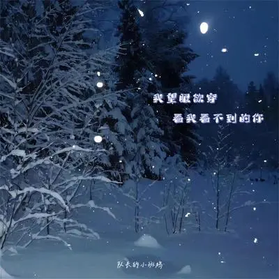 我望眼欲穿 看我看不到的你封面