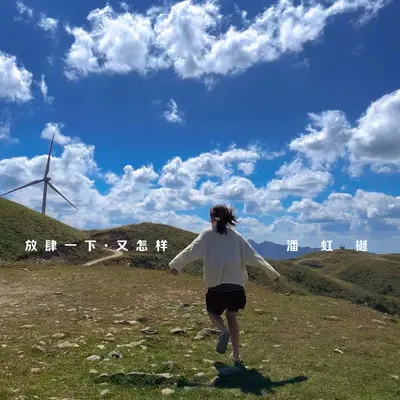 放肆一下又怎样 (伴奏)封面