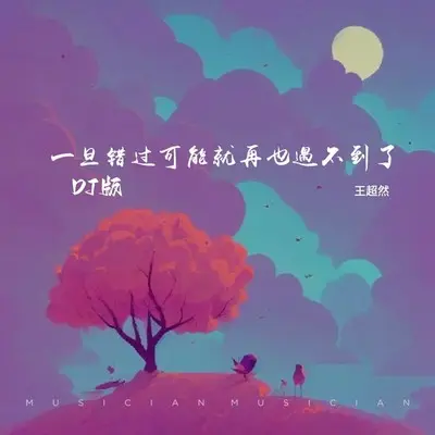 一旦错过可能就再也遇不到了(DJ版) - 王超然封面