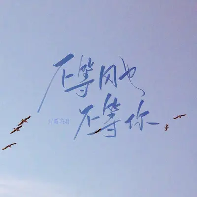 不等风也不等你 (伴奏) - 葛芮羽封面
