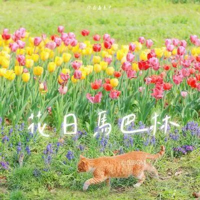花日马巴林 (治愈BGM)（完整版）封面