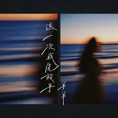 这一次我先放手 (加速版)封面