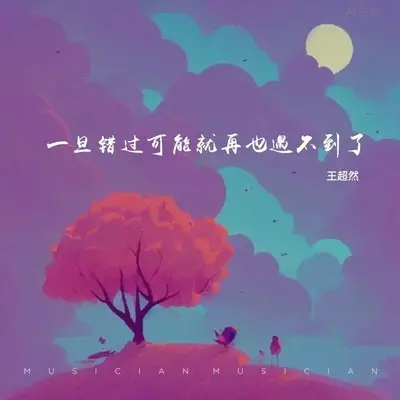 一旦错过可能就再也遇不到了封面