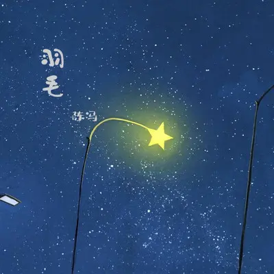 羽毛封面