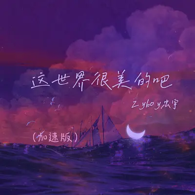 这世界很美的吧（加速版）封面