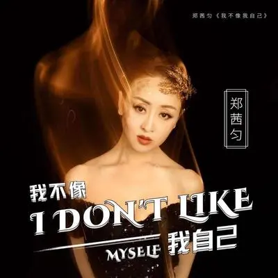 我不像我自己（DJ阿能版）封面
